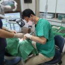 큐프라임인하치과의원 네이버블로그