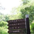 금강카 이미지