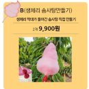 🍒 조카랑 함께한 체리 수확 체험! 파주시 약산체리원 다녀왔어요 💕