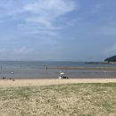 서포비치 이미지