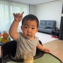 좋은푸드 | 후기 이유식：푸드케어 클레｜양 딱 좋은 200ml 10개월 이유식 🥣