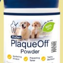 가온덴탈 이미지