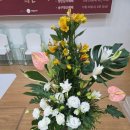 언덕배기꽃식물원 이미지