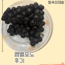 모동스토어 | 캠벨포도, 마트 안 가고 스마트스토어에서 샀는데 이 정도일 줄이야