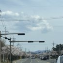 엘라포니시 풀빌라&호텔 | 경주 감포 엘라포니시 풀빌라 | 오션뷰 펜션 후기, 친구들과 놀고 먹기