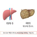 배곧동물병원 이미지