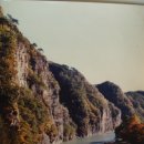 남초등학교 이미지