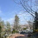 남산공원 | 경남 고성 숨은 벚꽃 명소🌸 남산공원 한적하게 즐긴 봄 산책 후기