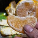호랑족발