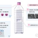 아이시스 이미지