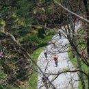 김삿갓면-21 이미지