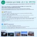 오룡빙파크 입구 교차로 | 수원팔색길(三色/매실길)/수원(17.07.01)