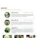 놀러오개 애견유치원 애견호텔(화성 병점진안점) | 🎉 귀여운 반려견을 위한 놀러오개 애견 유치원 &amp; 호텔 (화성 병점진안점) 안내 🎉