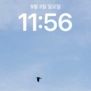 풍년농자재백화점 이미지