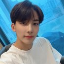 쿱스 티스토리