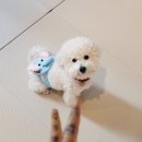 멍설유치원 이미지