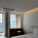 (영)제주친환경 | 제주 협재 콘스트 숙박 후기