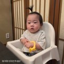 해운대마린시티 긴자 가족식사 후기｜쌍둥이 아기 첫 외식 솔직후기