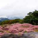 바람과물결