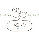 진샘코다리 이미지
