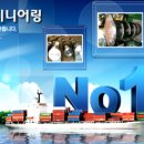 주식회사 연일