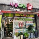 사동그린꽃 이미지