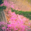 카타나 펜션 이미지