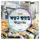 계양구 빵맛집 :: 속이 편한 빵집곰선생님 방문 후기