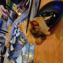 천장어제주점 이미지