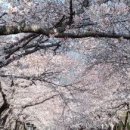 여좌천거리 이미지