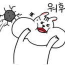 스윗차일드 오 마인 이미지