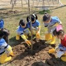 생명나무유치원 이미지