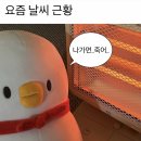 뼈탄집 역삼직영점 | 2025.7월 둘째 주, 애미의 주간 일상_55주차