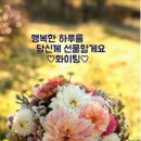 늙은 수탉의 별난 흉계 이미지