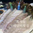 해달비