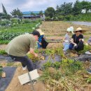 준경농장 이미지