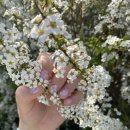 소람디자인 네이버블로그