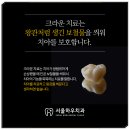 서울하우치과 이미지