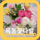 목동꽃다발 줄플라워가든 가성비 좋은 목동꽃집