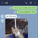 공중제비 이미지