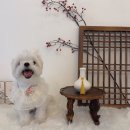 효원유치원 | 소설처럼