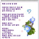 봄꽃집 이미지