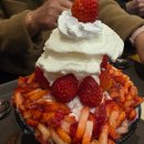 (11/25)초콜릿 컵케이크 | [공지] 26.03) 벌꿀오소리 마인드 장착🦨