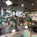 카페해요 이미지