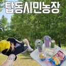 비행장주유소 | 수원 탑동시민농장 5월 피크닉 그늘 돗자리 텐트가능 주차비 무료