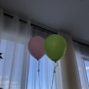 다올마트 | 캘거리일상 처음 맞아본 침, 다올한의원 딤섬 먹고 H마트 배홍동 쫄쫄면 득템! 마사지 힐링 주말 체크인