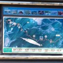 청량산 임도1 이미지