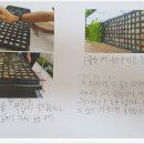 부산 혜성학교 이미지