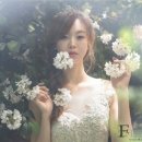 페레스튜디오 이미지