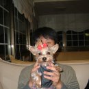 짱구애견 이미지